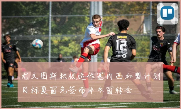尤文图斯积极运作塞内西加盟计划目标夏窗免签而非冬窗转会