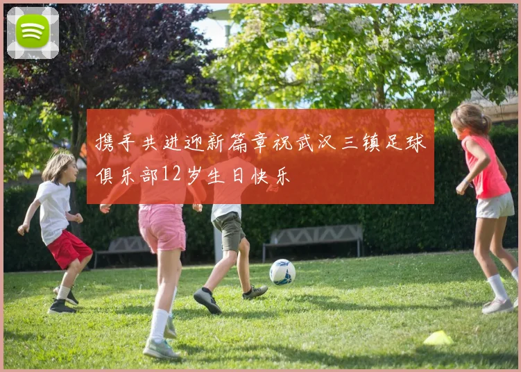 携手共进迎新篇章祝武汉三镇足球俱乐部12岁生日快乐