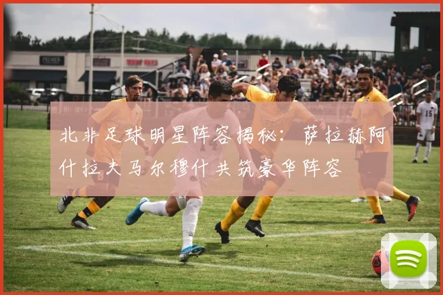 北非足球明星阵容揭秘：萨拉赫阿什拉夫马尔穆什共筑豪华阵容