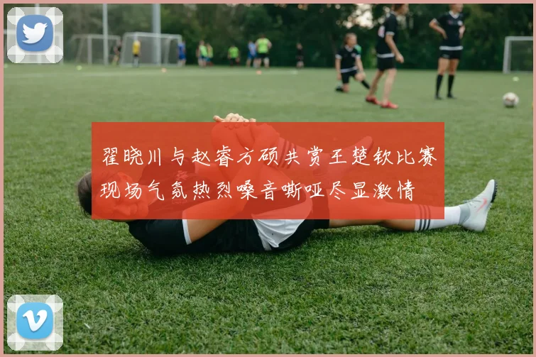 翟晓川与赵睿方硕共赏王楚钦比赛现场气氛热烈嗓音嘶哑尽显激情